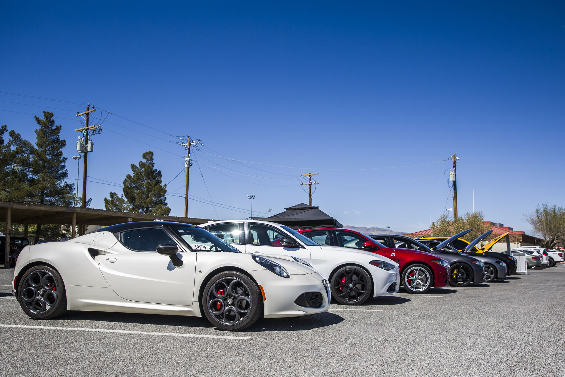 NEVALFA Alfa Romeo lineup